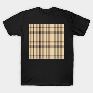 Autumn Aesthetic Catriona 2 Hand Drawn Textured Plaid Pattern T-Shirt